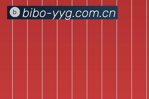 关于bibo必博官方网站